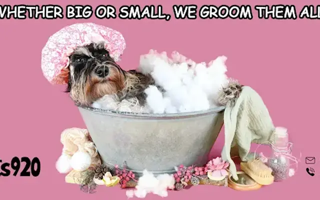 Ruff Cuts Grooming in Sheboygan, WI