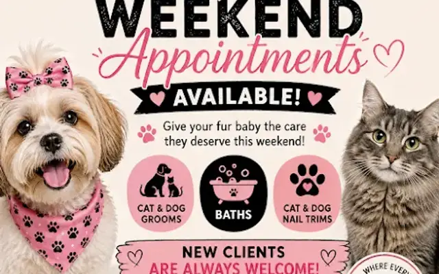 Grace & Groom Pet Spa in Graham, NC