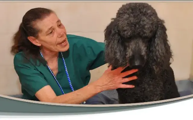 The Lodge at West Hills - Luxury Pet Boarding & Grooming in Huntington, NY