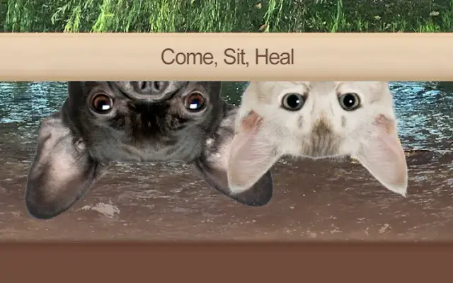 Pendleton Veterinary Clinic in Pendleton, IN