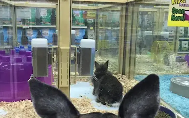 Pet Supermarket in Wilmington, NC