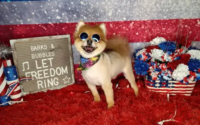 Best In Show Grooming LLC in Prescott, AR