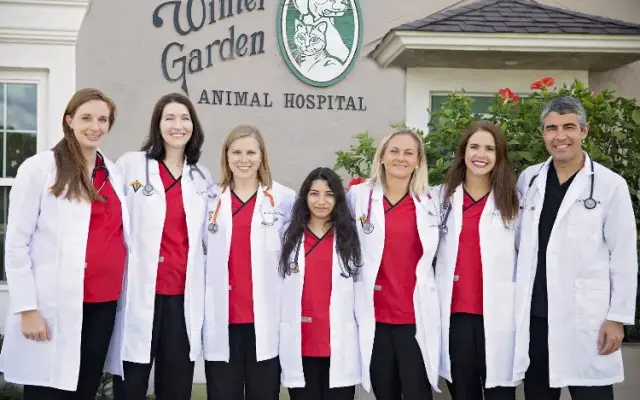 Winter Garden Animal Hospital in Winter Garden, FL