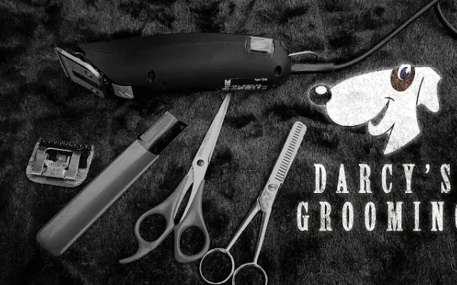 DarcysGrooming in Tyler, TX