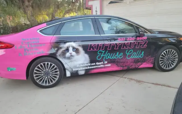 Kitty Kutz House Calls in Corona, CA