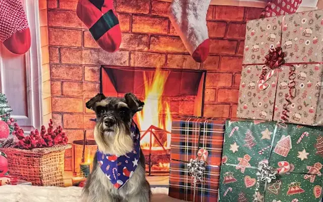 Tails ‘N Tangles in Saxonburg, PA
