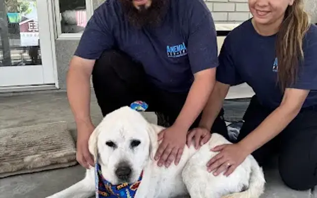 Anemal In-Home Pet Grooming Services in Placentia, CA
