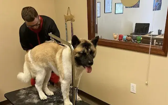 Pampered Pups in McDonough, GA