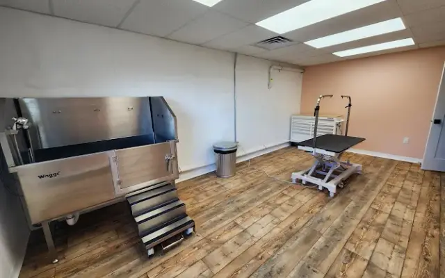 Golden Valley Dog Grooming in Hamilton, MI
