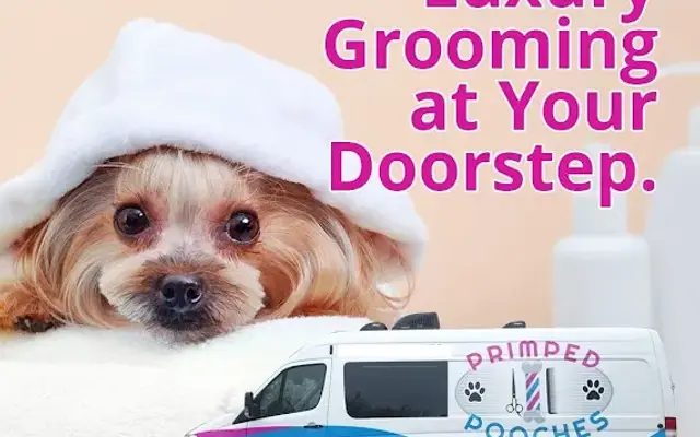 Primped Pooches Mobile Dog Spa Irving in Irving, TX