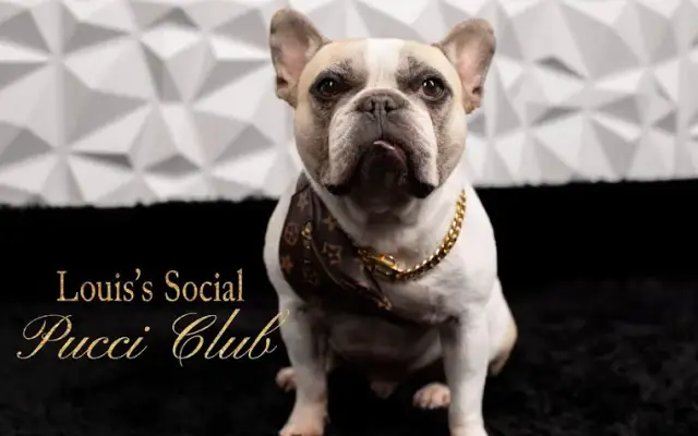 Louis’s Social Pucci Club in Gulfport, MS