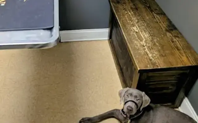 College Park Road Veterinary Clinic in Ladson, SC