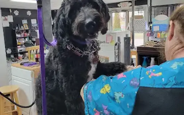 K P Pet Grooming in Monterey, TN