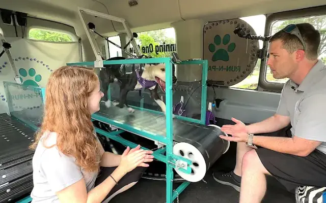 Run-N-Paw in DeLand, FL