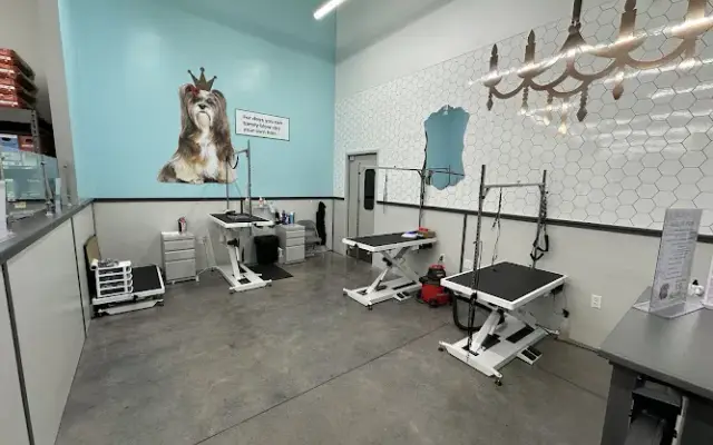 Pet Supplies Plus Prosper-Windsong Grooming in Prosper, TX