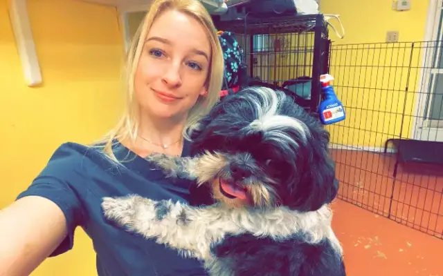 Exclusive Pooches Dog Grooming in Palm Bay, FL