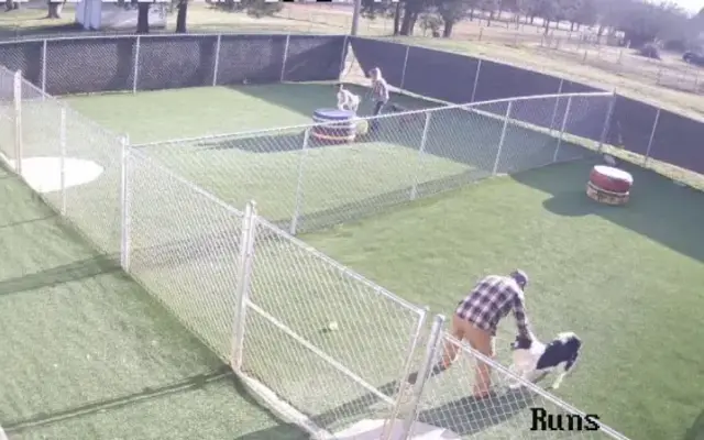 Apollo Kennels in Etowah, TN