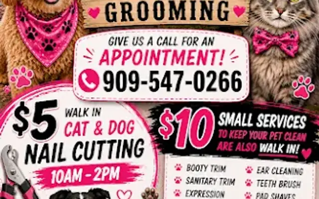 Pampered Pets in Big Bear, CA
