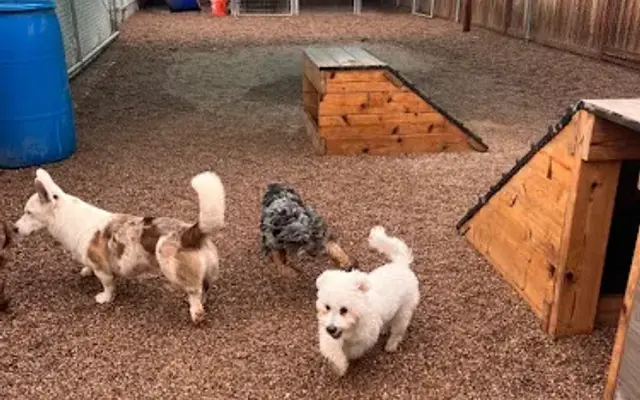 Zion Canyon Canine Recreation Center & Spa in Hurricane, UT