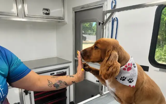 P.S. Mobile Grooming in Wichita Falls, TX