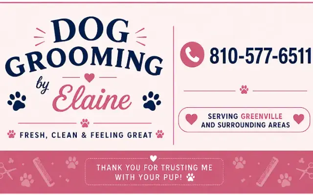 Dog Grooming by Elaine in Greenville, PA