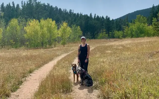 Mountain Mutts Dog Grooming in Aurora, CO