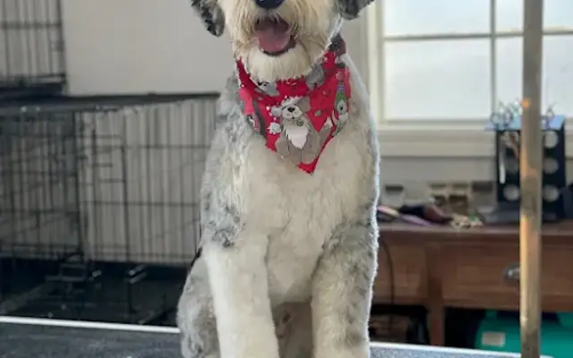 Muttley Crue LLC in Salem, IN