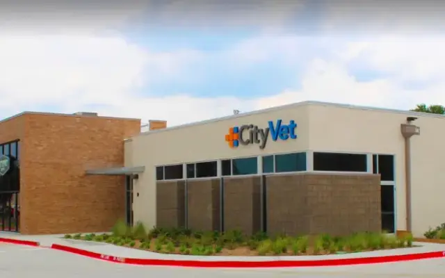 CityVet | Mid-Cities in Bedford, TX