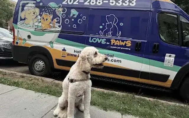 Love for Paws Mobile Service in North Springfield, VA