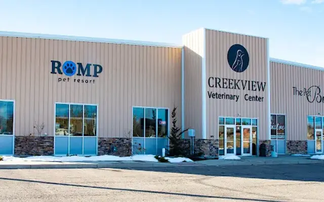 Romp Pet Resort in Buffalo, NY