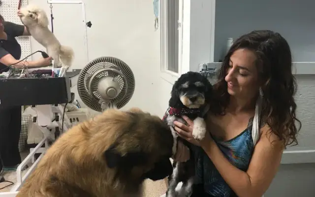 Pawsitively Groomed Pet Salon in Burlingame, CA