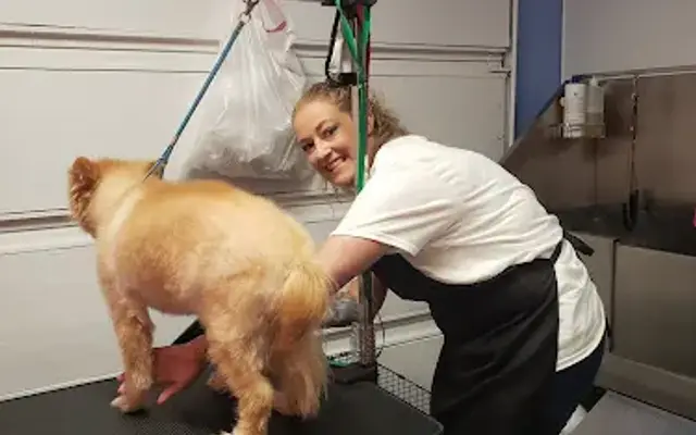 KATs Grooming in Haltom City, TX