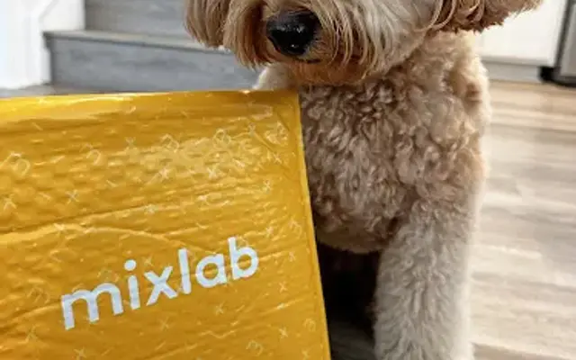 Mixlab in Hollywood, FL