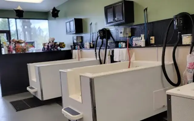 Good Karma Dog Spa in Duvall, WA