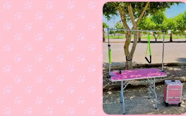 Paws Refined in Bullhead City, AZ