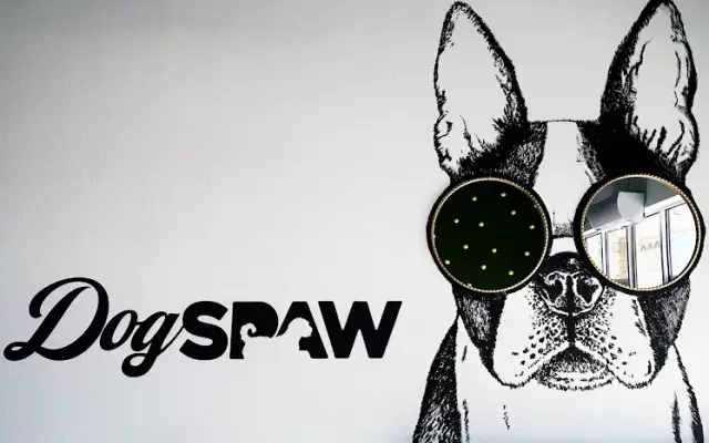 DogSpaw Grooming in El Paso, TX