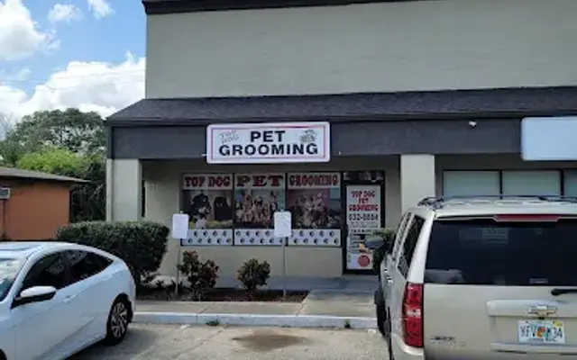 Top Dog Pet Grooming in Port St John, FL