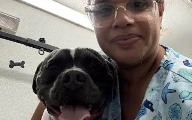 Pelussa Pet Grooming in Miami, FL
