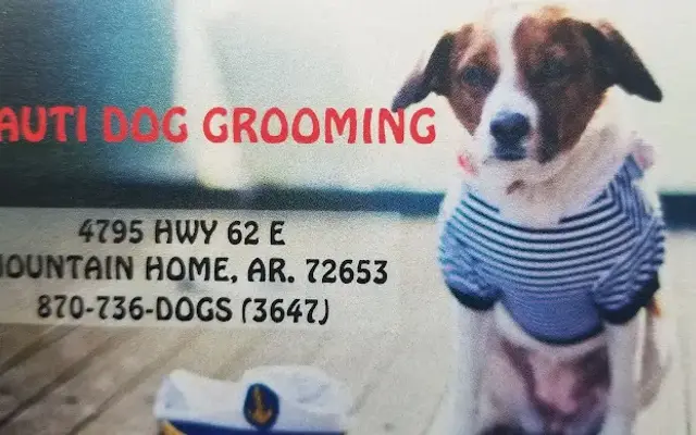 NAUTI DOG in Mountain Home, AR
