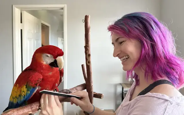 Jeline Clark’s Bird Grooming and Training in Fallbrook, CA