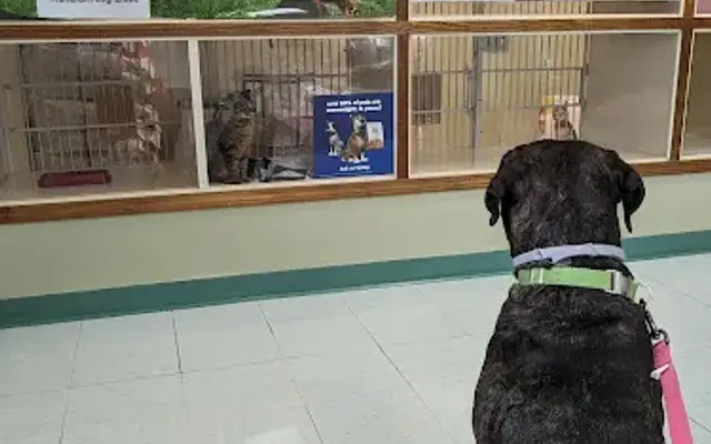 Nevada Veterinary Clinic in Nevada, MO