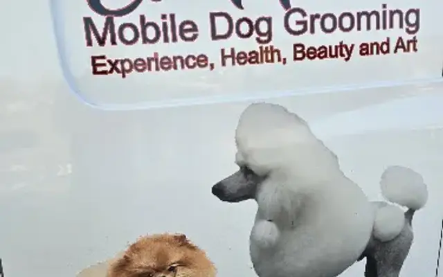 El muñeco dog grooming in Highlands, TX