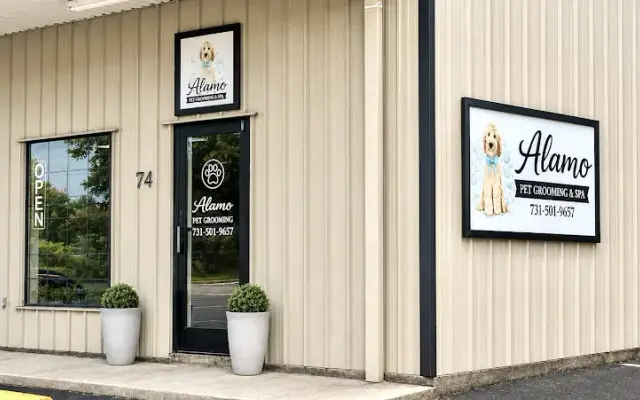 Alamo Pet Grooming in Alamo, TN
