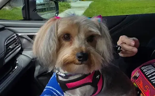 PetSmart Grooming in College Place, WA