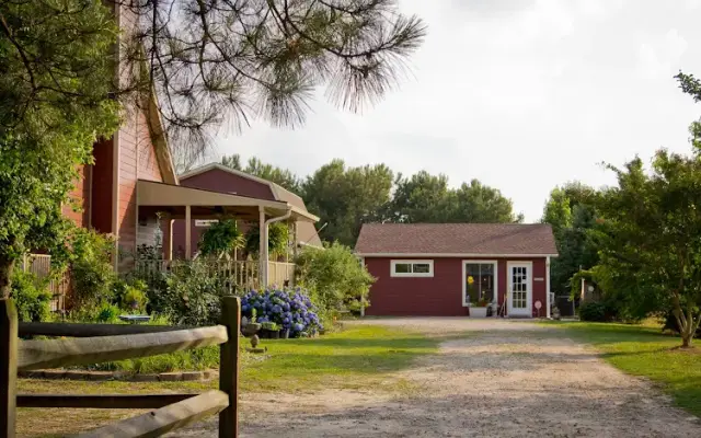Adorybull Groom and Board in Clayton, NC