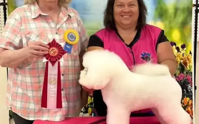 Angel's Divine Pet Styles in Yuba City, CA