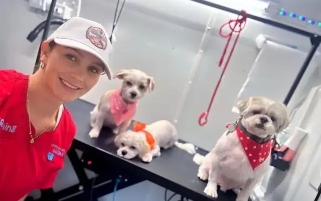 Lina Pet Mobile Grooming in Farmingville, NY