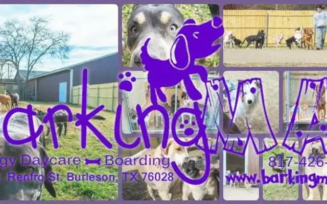 Barking Mad Doggy Daycare & Boarding, LLC in Burleson, TX