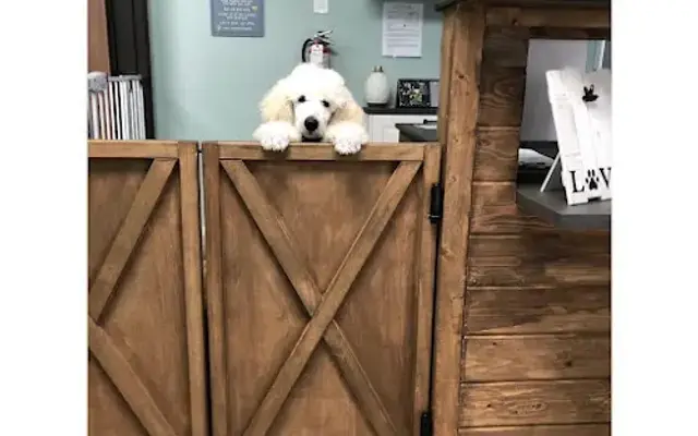 Best Buddies Pet Care in Glendora, CA