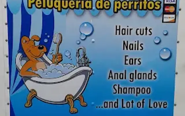 Dog's Bath & Beyond Inc in Miami, FL
